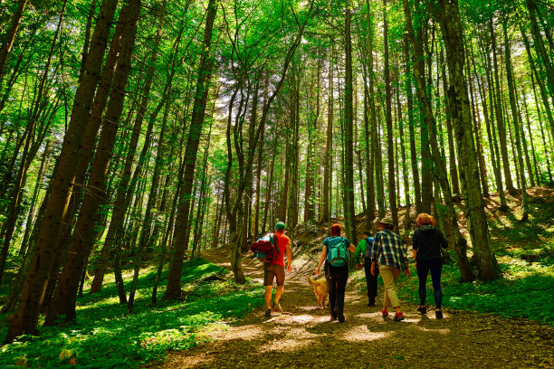 享受徒步旅行的自由时间图片下载