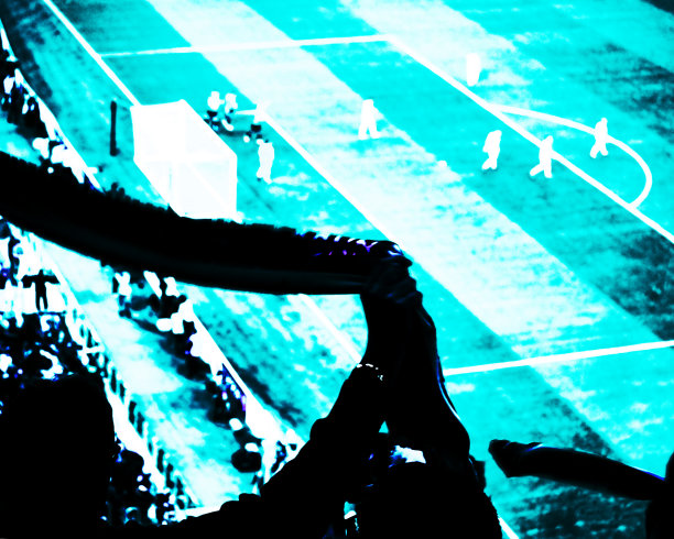 在体育场，球迷们用旗帜、横幅和围巾为他们的足球队进球欢呼。浅蓝色色调的视图图片下载