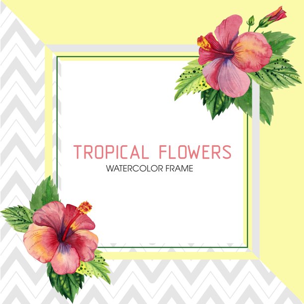 野花框架木槿花在水彩画风格孤立。图片下载