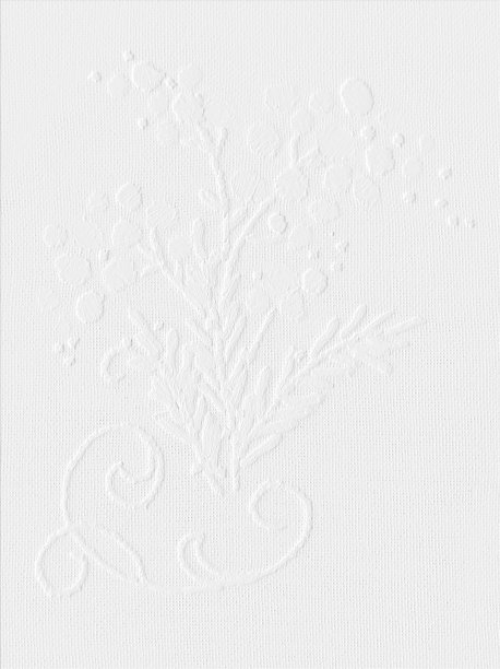 白色背景，花卉图案，墙纸图片下载