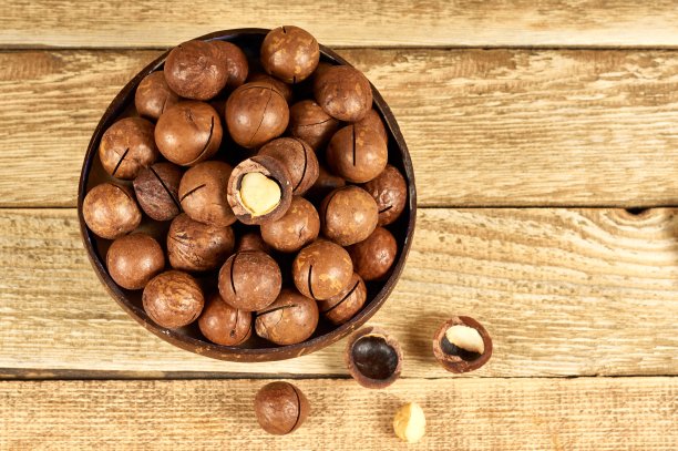 澳洲坚果图片下载