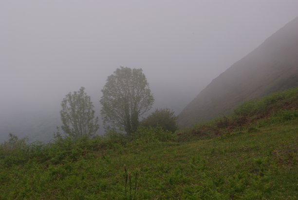 山景观图片下载