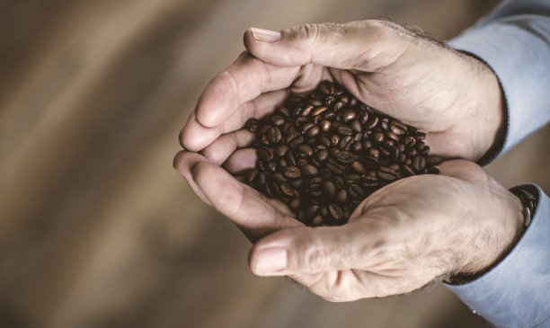 宝藏就在你的手中。图片下载