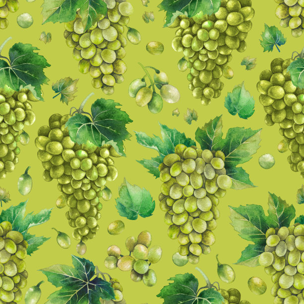 水彩白葡萄串图案图片下载