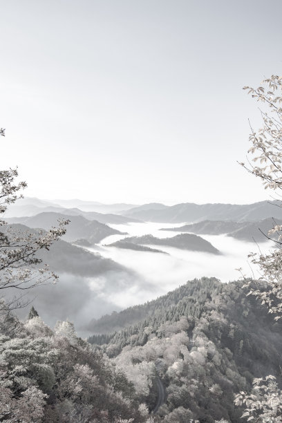 (单色)日本的云海图片下载