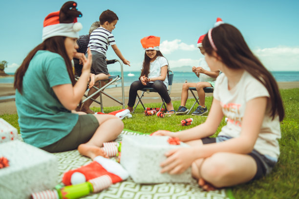 在海滩庆祝圣诞节。图片下载