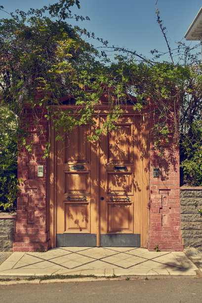 伊斯坦布尔的旧木门图片下载