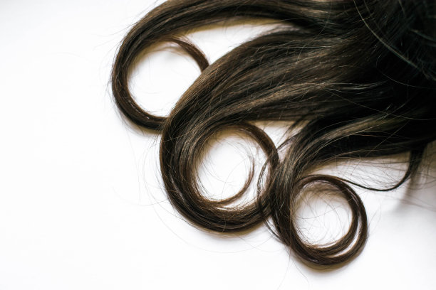 黑发，长发，头发底部有卷图片下载