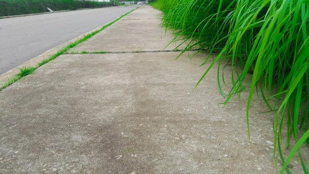 绿草沿着人行道生长，绿草的背景图片下载