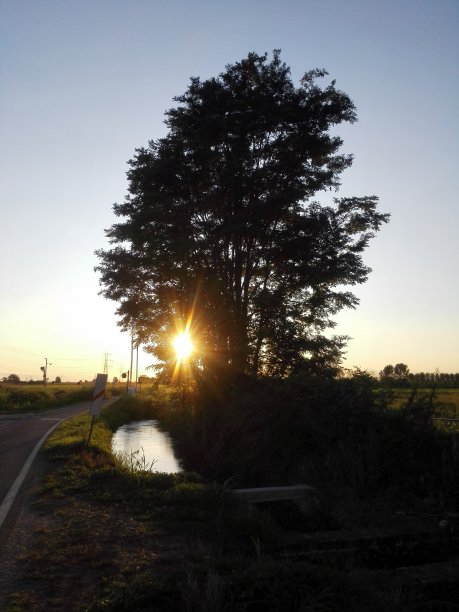 在乡村小溪岸边的树与日落的观点。图片下载