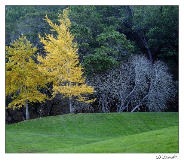 天堂湾图片下载