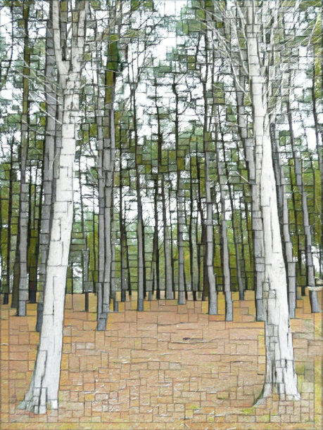 绿叶和树冠-无限木材风格的杨树丰富图片下载