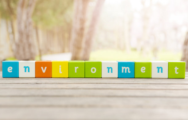 环境中,词图片下载