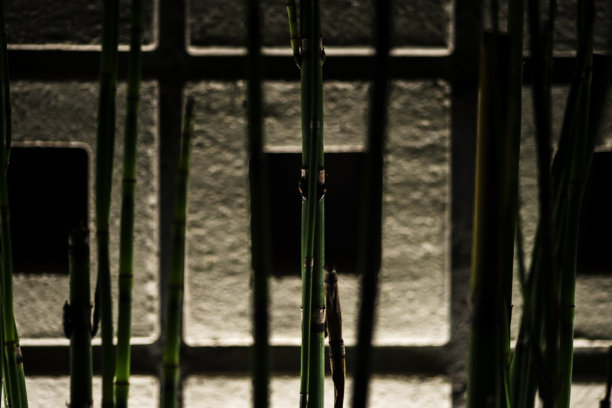 竹近似方形的图片下载