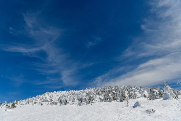 西津山顶附近的树木被雪覆盖图片下载