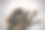 艺术家的材料图片下载