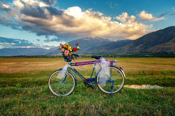 新娘的自行车图片下载