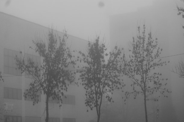 秋天的雾图片下载