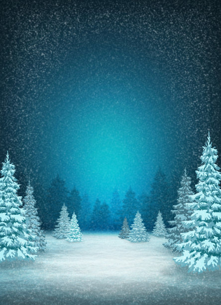 冬天夜晚的天空。森林。降雪。图片下载