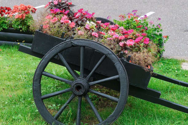 美丽的花在美丽的战车作为庭院的装饰。园艺和家的舒适。设计素材照片图片下载