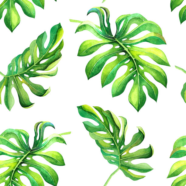 绿色的热带叶子孤立在白色的背景。夏日天然无缝图案配以异域风情叶作装饰，时尚印花，封面，包装纸，壁纸图片下载