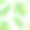 绿色的热带叶子孤立在白色的背景。夏日天然无缝图案配以异域风情叶作装饰，时尚印花，封面，包装纸，壁纸图片下载