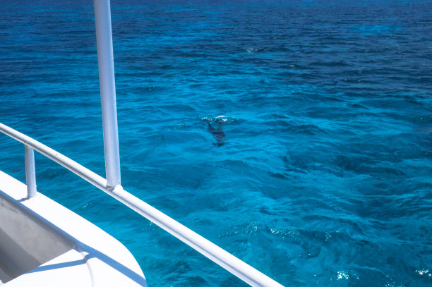 美丽的天空蓝色海面，荒凉的海洋主题背景旅游设计素材图片下载