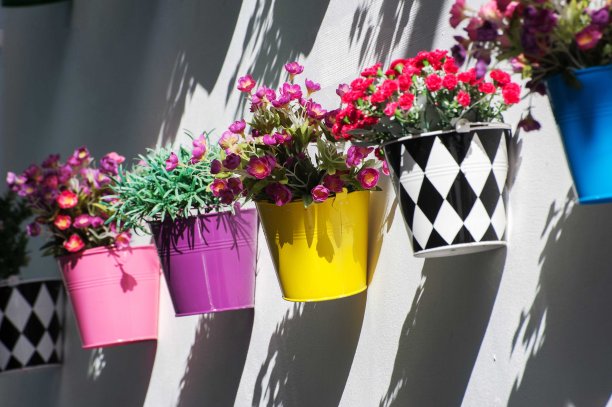 街道上的花盆里混合着五颜六色的花朵图片下载