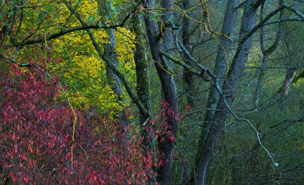 克罗伊茨贝格的阿尔河谷图片下载