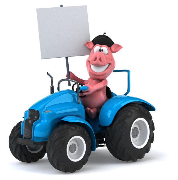 有趣的猪图片下载