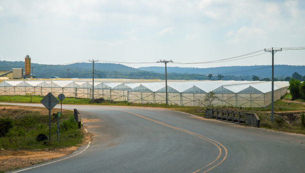 道路和农场乡村景观。植物和蔬菜生长的温室图片下载