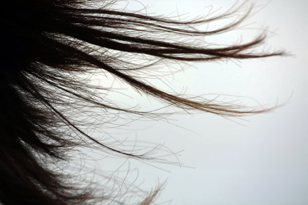 字符串的头发图片下载