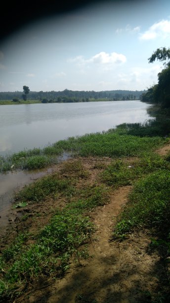 喀拉拉邦的照片图片下载
