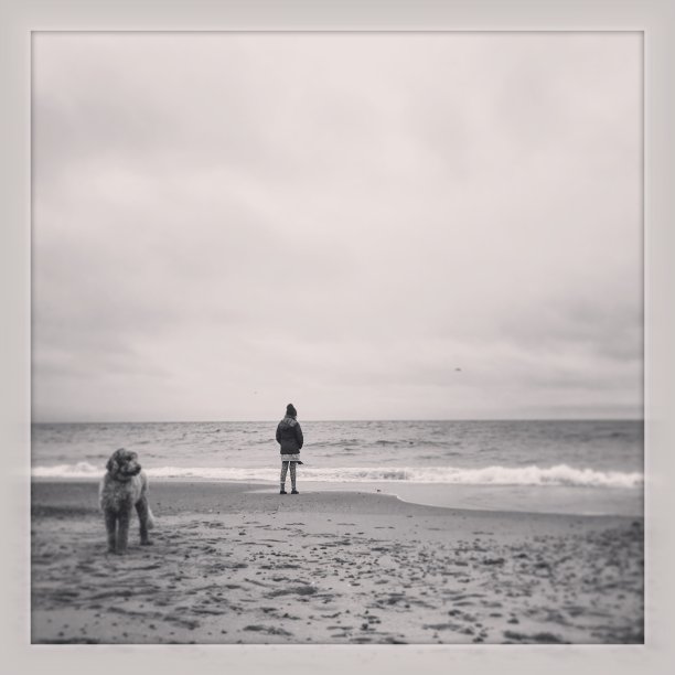 秋天海滩上的狗和孩子图片下载