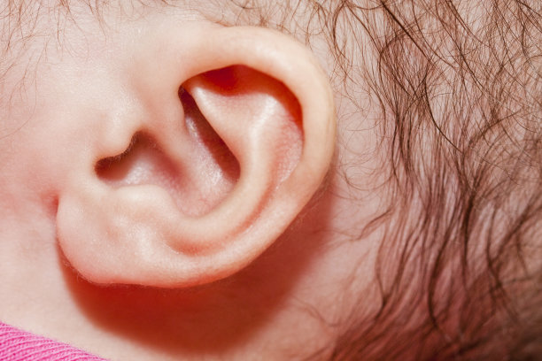 新生儿的耳朵图片下载