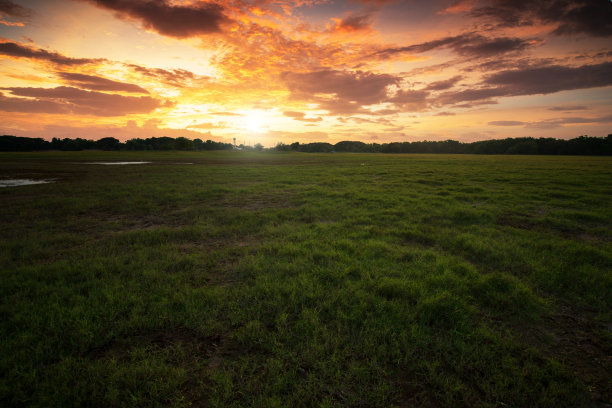 美丽的日落草地。图片下载