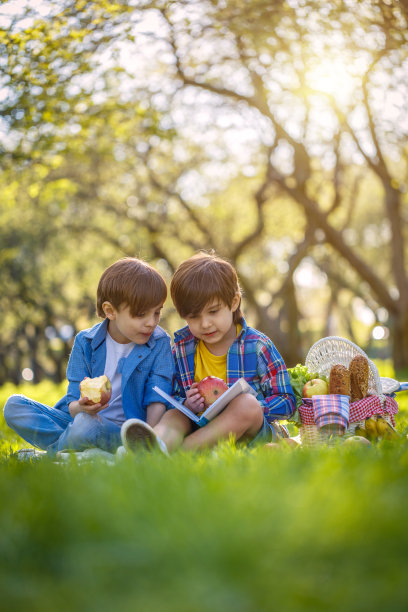 最好的朋友在公园野餐图片下载