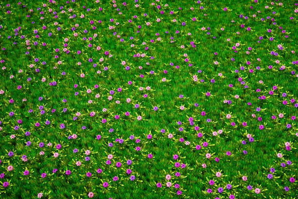 夏天紫色的花和草的草地图片下载