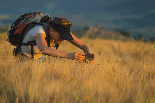 游客的侧视图，年长妇女与手机在麦田里的意大利，欧洲图片下载