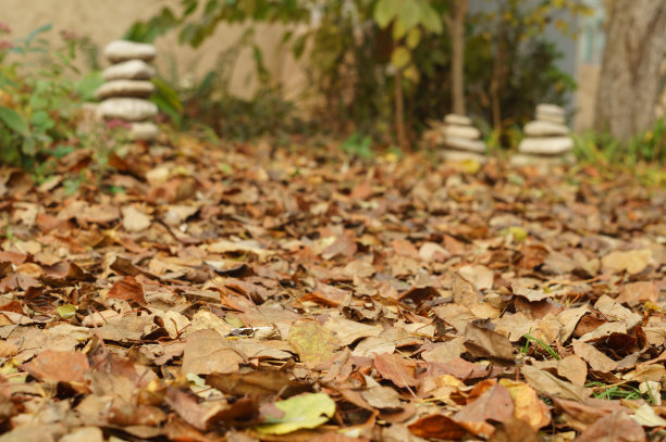枯干的落叶在秋季花园的背景上白色的石头金字塔图片下载