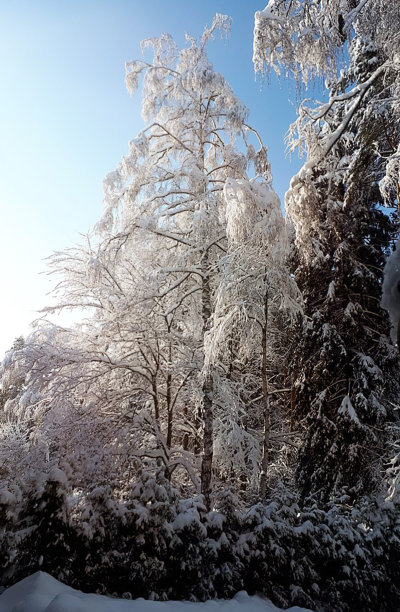 冬季景观，一个寒假的概念，旅游，旅游。新年或圣诞节。贺卡，横幅，日历。选择性聚焦，复制空间。图片下载