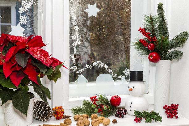 圣诞静物图片下载