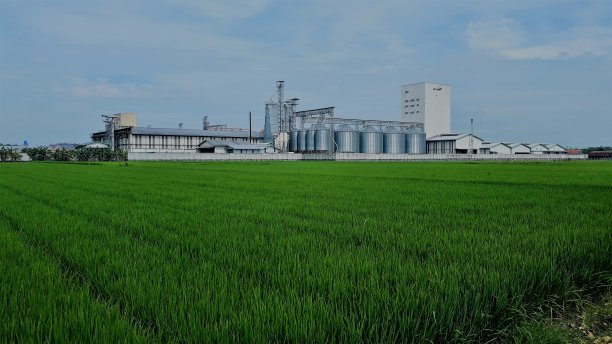 大米了图片下载