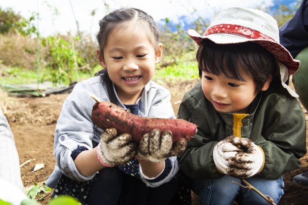 父亲和孩子们在挖庄稼图片下载