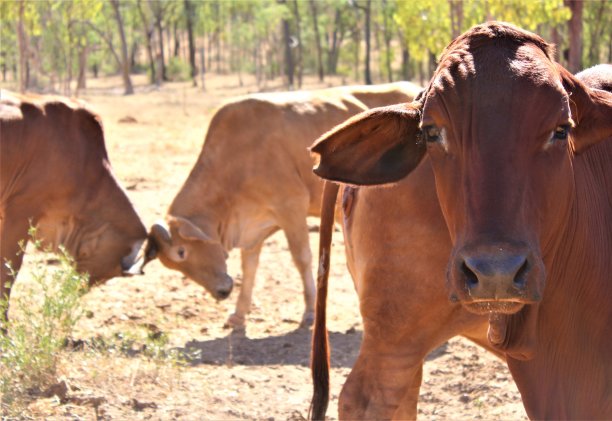 没什么好看的图片下载