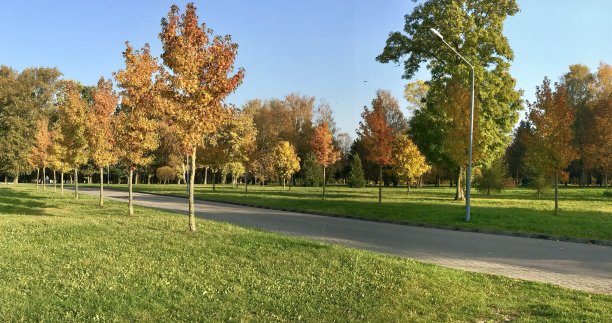 秋天的颜色图片下载