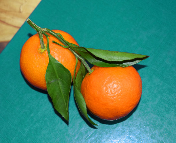 绿色叶子的橘子。木制背景。圣诞节。新年假期。新年亮晶晶的玩具蝴蝶。房子装修。图片下载