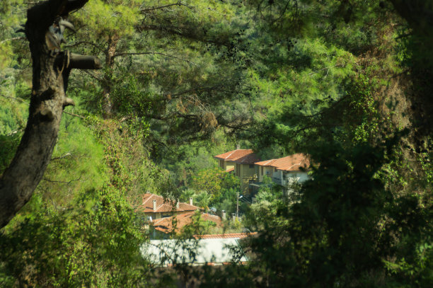 房子在山区森林背景。通过树叶视图图片下载