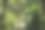 房子在山区森林背景。通过树叶视图图片下载