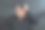 朋克作为一种亚文化。他无法决定做哪个决定。图片下载